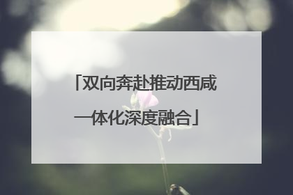 双向奔赴推动西咸一体化深度融合