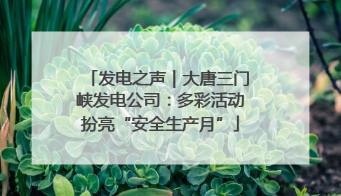 发电之声｜大唐三门峡发电公司：多彩活动扮亮“安全生产月”