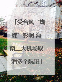 受台风“蝴蝶”影响 海南三大机场取消多个航班