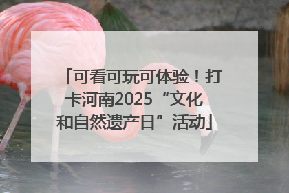 可看可玩可体验！打卡河南2025“文化和自然遗产日”活动