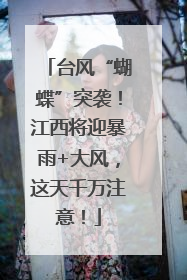 台风“蝴蝶”突袭！江西将迎暴雨+大风，这天千万注意！
