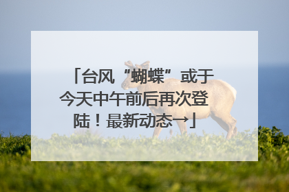 台风“蝴蝶”或于今天中午前后再次登陆！最新动态→