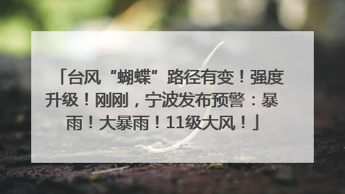 台风“蝴蝶”路径有变！强度升级！刚刚，宁波发布预警：暴雨！大暴雨！11级大风！