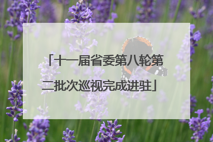 十一届省委第八轮第二批次巡视完成进驻