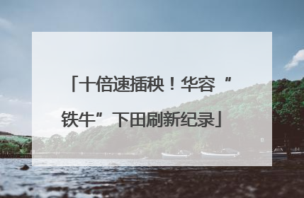十倍速插秧！华容“铁牛”下田刷新纪录
