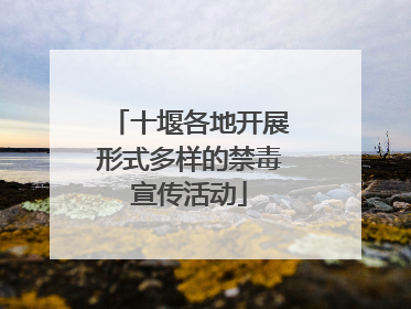 十堰各地开展形式多样的禁毒宣传活动