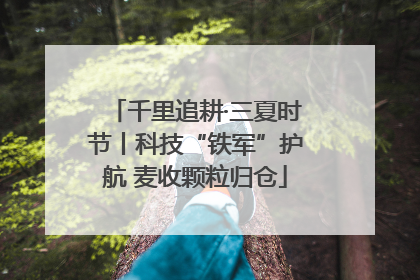 千里追耕·三夏时节丨科技“铁军”护航 麦收颗粒归仓