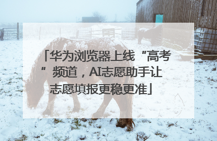 华为浏览器上线“高考”频道，AI志愿助手让志愿填报更稳更准