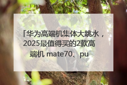 华为高端机集体大跳水，2025最值得买的2款高端机 mate70、pura70如何选？