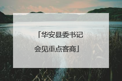 华安县委书记会见重点客商