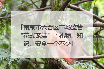 南京市六合区市场监管“花式宠娃”：礼物、知识、安全一个不少