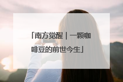 南方觉醒｜一颗咖啡豆的前世今生