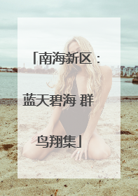 南海新区：蓝天碧海 群鸟翔集