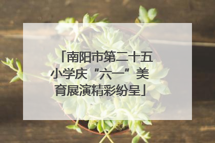 南阳市第二十五小学庆“六一”美育展演精彩纷呈