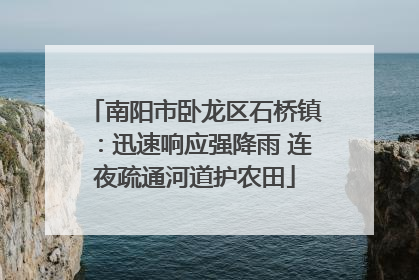 南阳市卧龙区石桥镇：迅速响应强降雨 连夜疏通河道护农田