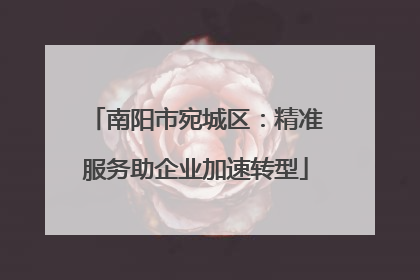 南阳市宛城区：精准服务助企业加速转型
