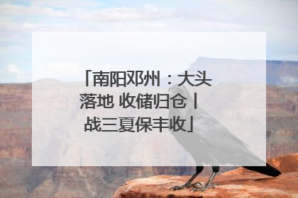 南阳邓州：大头落地 收储归仓丨战三夏保丰收