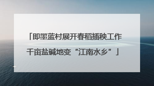 即墨蓝村展开春稻插秧工作 千亩盐碱地变“江南水乡”