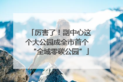 厉害了！副中心这个大公园成全市首个“全域零碳公园”