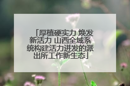 厚植硬实力 焕发新活力 山西全域系统构建活力迸发的派出所工作新生态