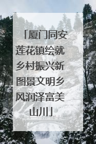 厦门同安莲花镇绘就乡村振兴新图景文明乡风润泽富美山川