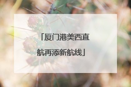 厦门港美西直航再添新航线