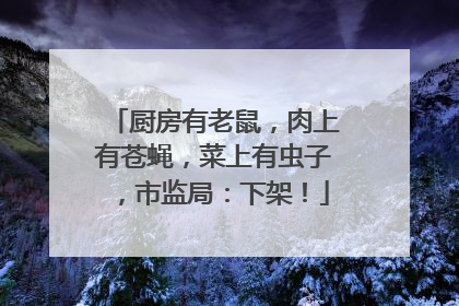 厨房有老鼠，肉上有苍蝇，菜上有虫子，市监局：下架！