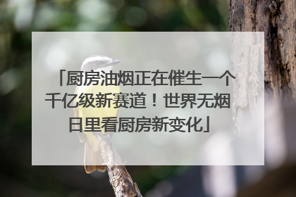 厨房油烟正在催生一个千亿级新赛道！世界无烟日里看厨房新变化