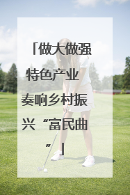 做大做强特色产业 奏响乡村振兴“富民曲”