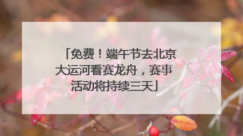 免费！端午节去北京大运河看赛龙舟，赛事活动将持续三天