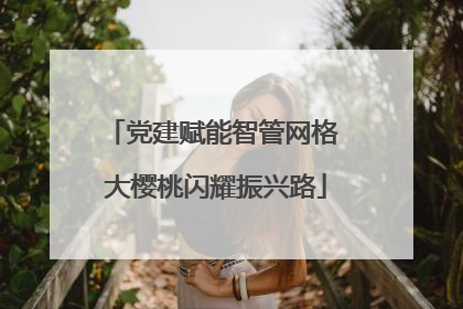 党建赋能智管网格 大樱桃闪耀振兴路