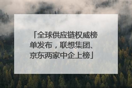 全球供应链权威榜单发布，联想集团、京东两家中企上榜