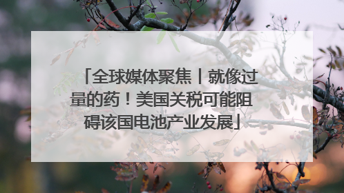 全球媒体聚焦丨就像过量的药！美国关税可能阻碍该国电池产业发展