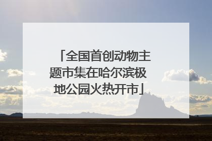全国首创动物主题市集在哈尔滨极地公园火热开市
