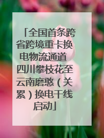 全国首条跨省跨境重卡换电物流通道 四川攀枝花至云南磨憨（关累）换电干线启动