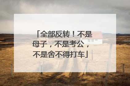 全部反转！不是母子，不是考公，不是舍不得打车