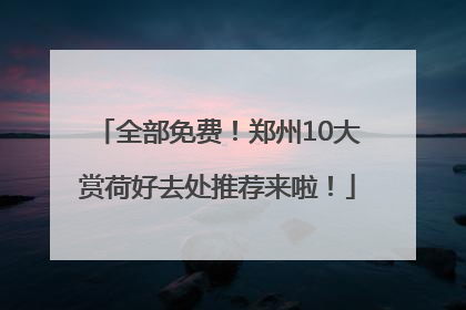 全部免费！郑州10大赏荷好去处推荐来啦！