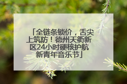 全链条锁价，舌尖上筑防！德州天衢新区24小时硬核护航新青年音乐节