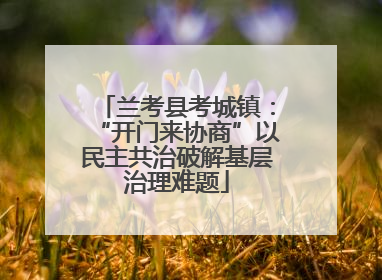兰考县考城镇：“开门来协商”以民主共治破解基层治理难题