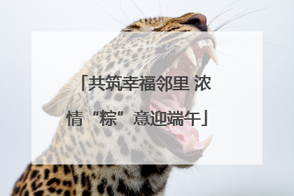共筑幸福邻里 浓情“粽”意迎端午