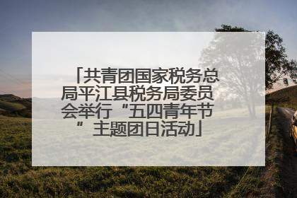共青团国家税务总局平江县税务局委员会举行“五四青年节”主题团日活动