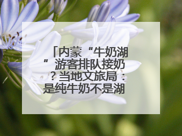 内蒙“牛奶湖”游客排队接奶？当地文旅局：是纯牛奶不是湖水，可放心喝