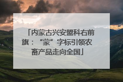 内蒙古兴安盟科右前旗：“蒙”字标引领农畜产品走向全国