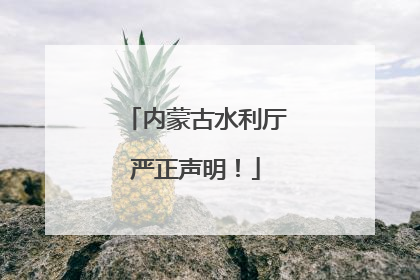 内蒙古水利厅严正声明！