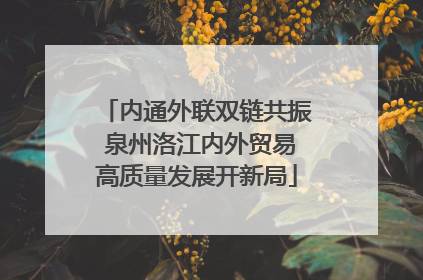 内通外联双链共振 泉州洛江内外贸易高质量发展开新局