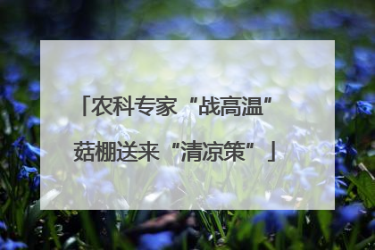 农科专家“战高温” 菇棚送来“清凉策”