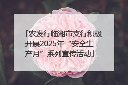 农发行临湘市支行积极开展2025年“安全生产月”系列宣传活动
