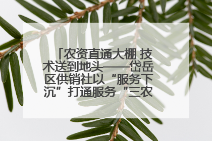 农资直通大棚 技术送到地头——岱岳区供销社以“服务下沉”打通服务“三农”最后一公里