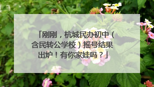 刚刚，杭城民办初中（含民转公学校）摇号结果出炉！有你家娃吗？