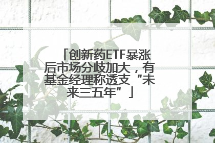 创新药ETF暴涨后市场分歧加大，有基金经理称透支“未来三五年”